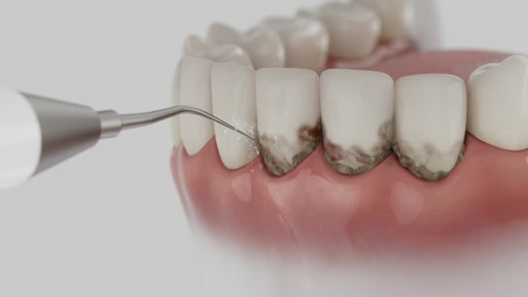 Reliable Dental contractor in Mound City, MO by Dentist Open Now